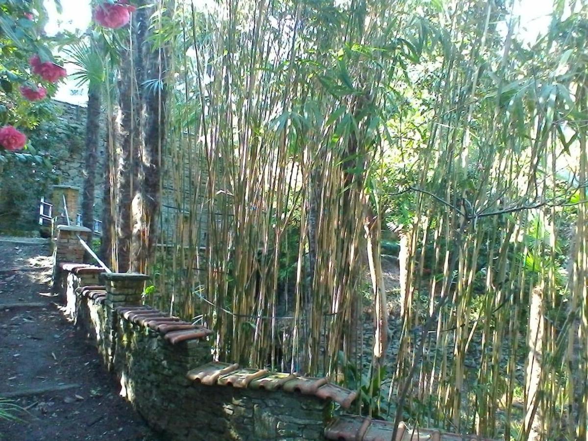 Ferienwohnung La Camelia D'Oro Oggebio Exterior foto
