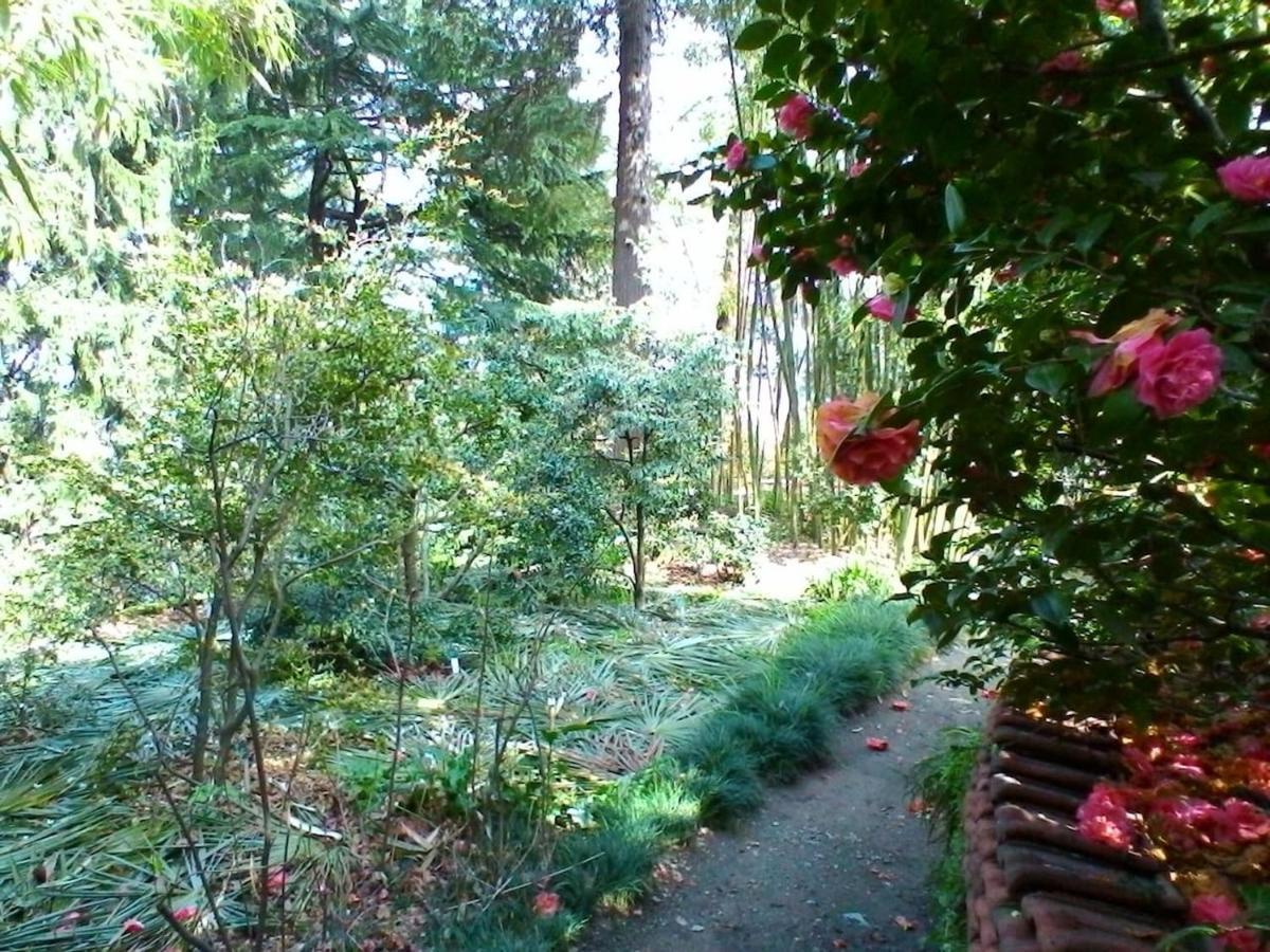 Ferienwohnung La Camelia D'Oro Oggebio Exterior foto